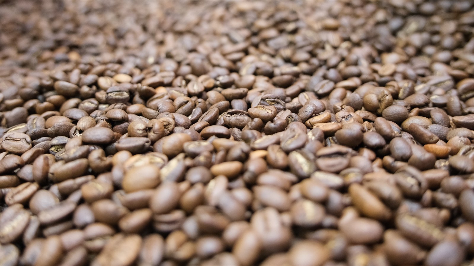 Grains de café de spécialité, torréfiés sur place par La Maison Hubert