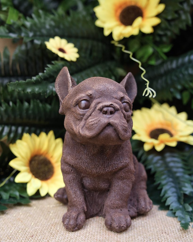 Sujet en chocolat · Bouledogue français