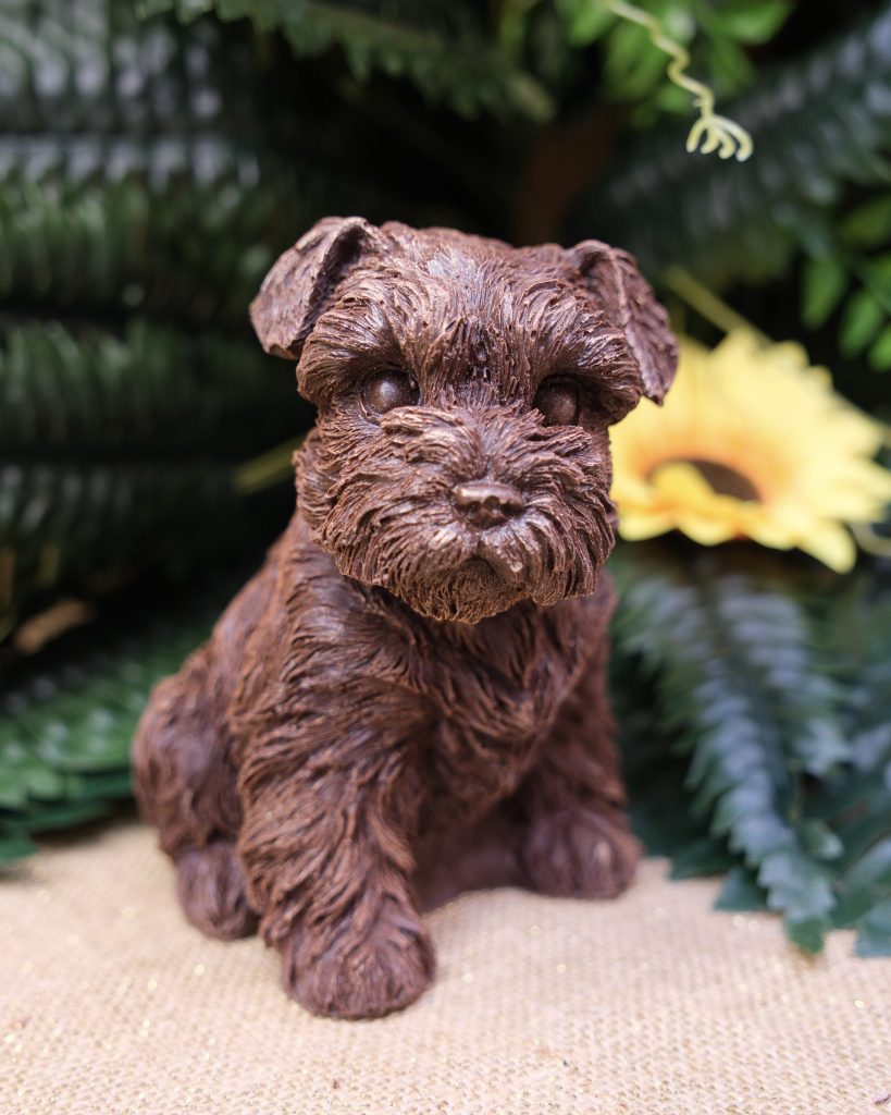 Sujet en chocolat · Schnauzer
