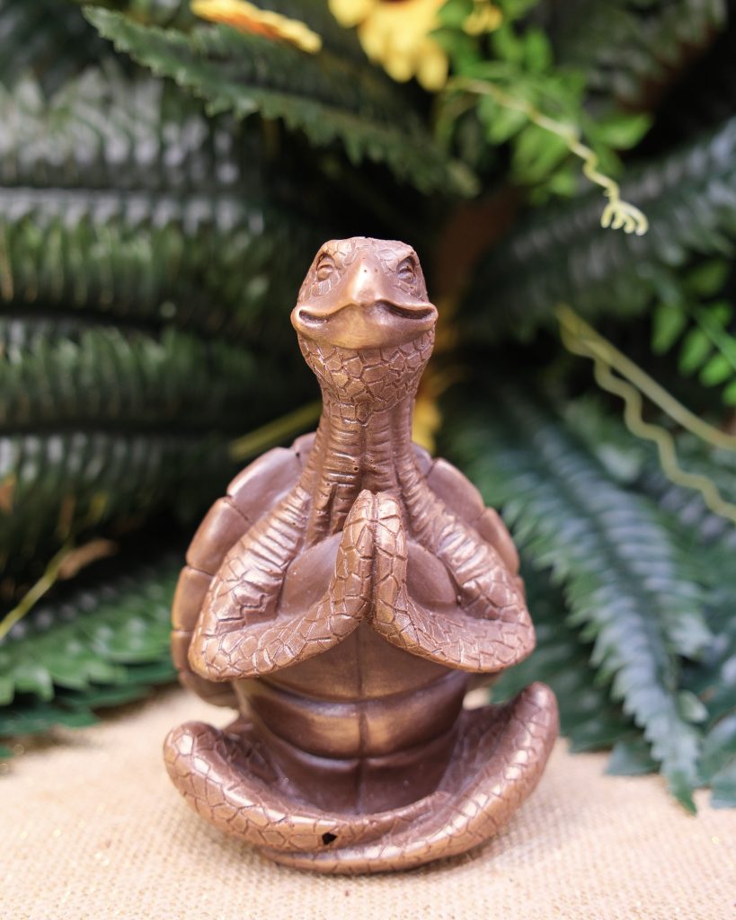 Sujet en chocolat · Tortue en méditation