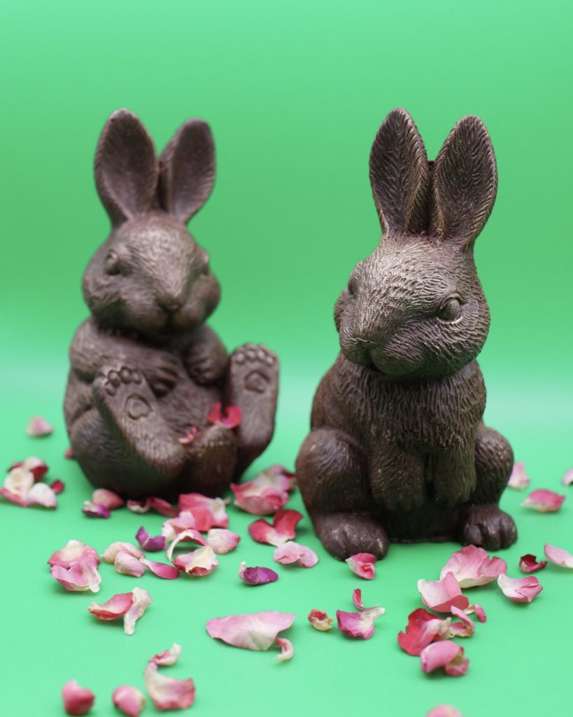 Photo · Duo de lapins en chocolat