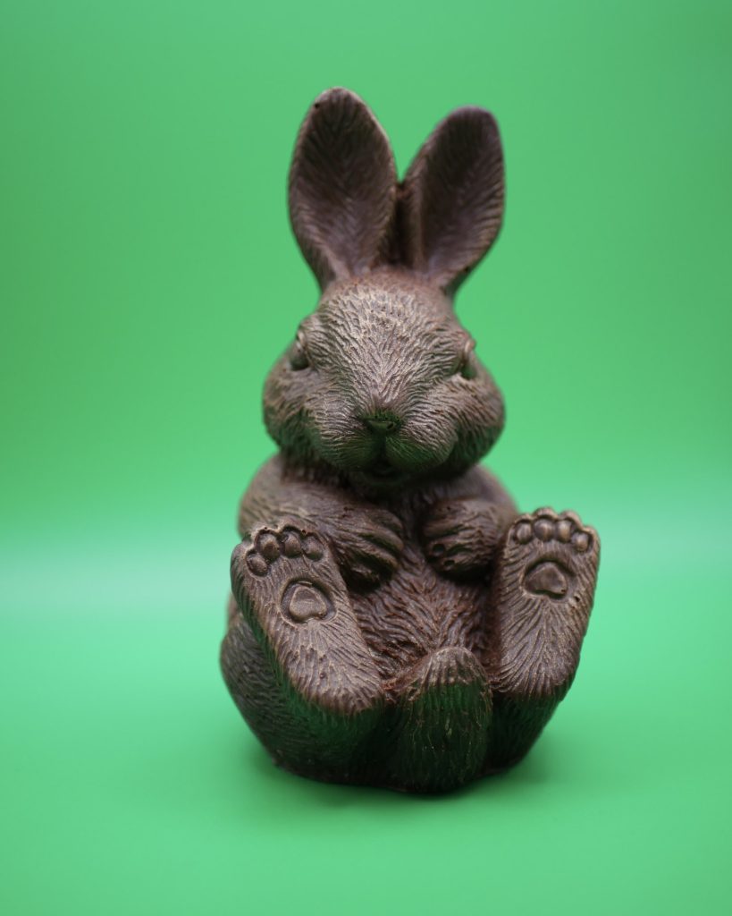 Photo · Lapin en chocolat assis