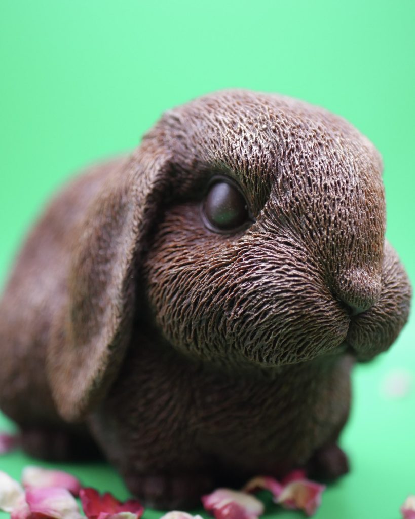 Photo · Lapin en chocolat, tête retombante