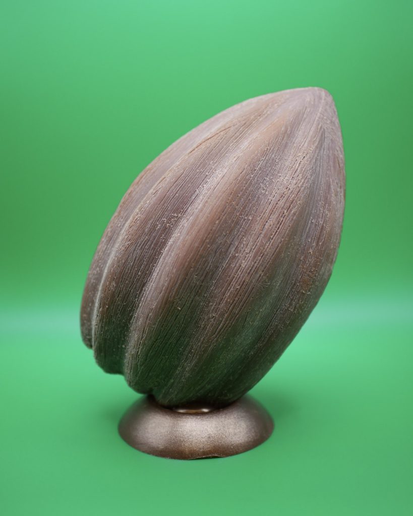 Photo · Œuf en chocolat, effet coquillage