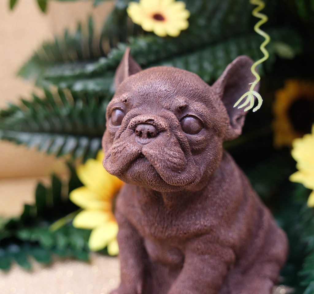 Sujet en chocolat · Bouledogue français