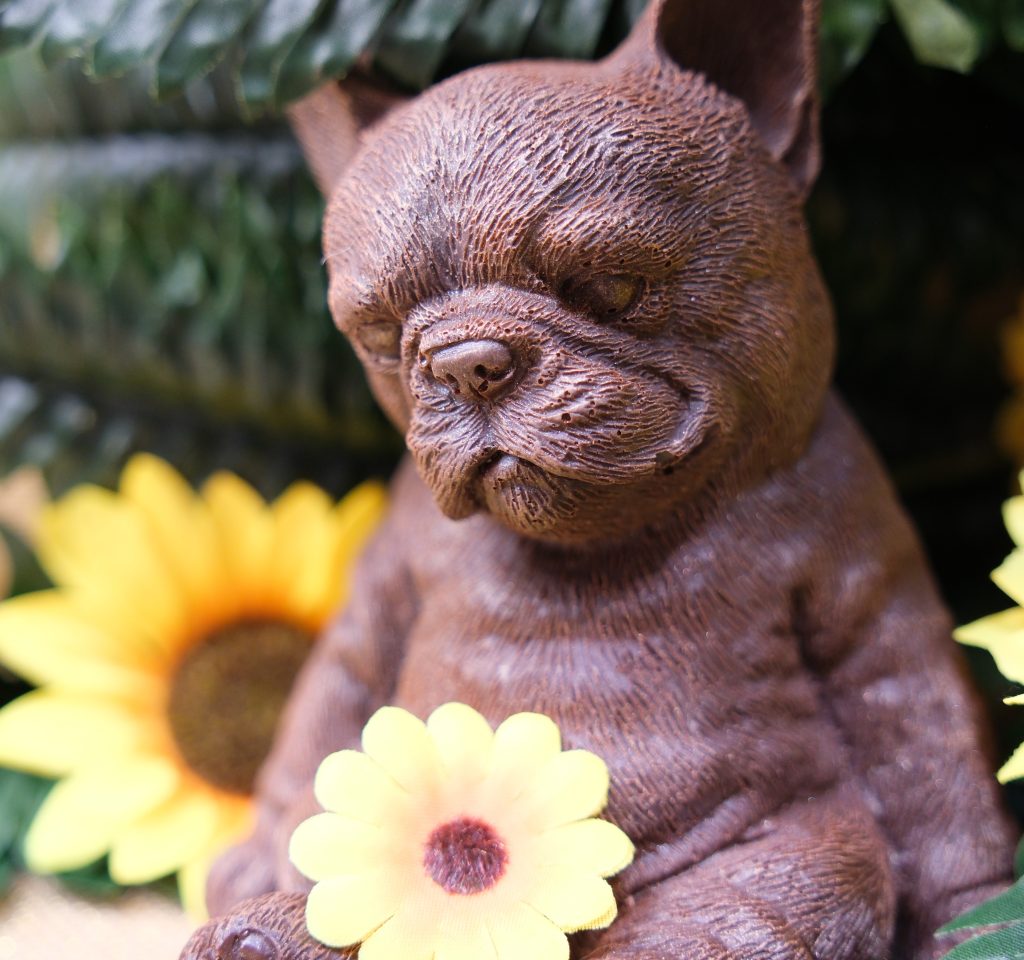 Sujet en chocolat · Bouledogue français