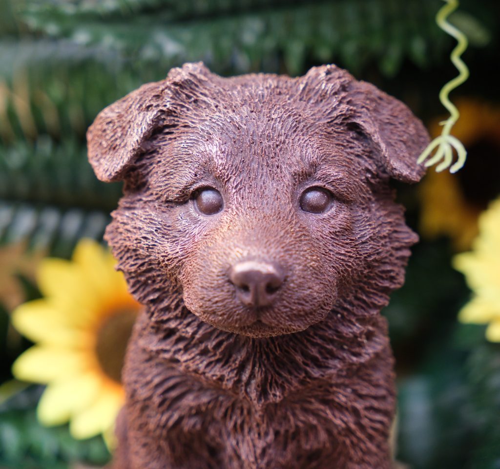 Sujet en chocolat · Chiot
