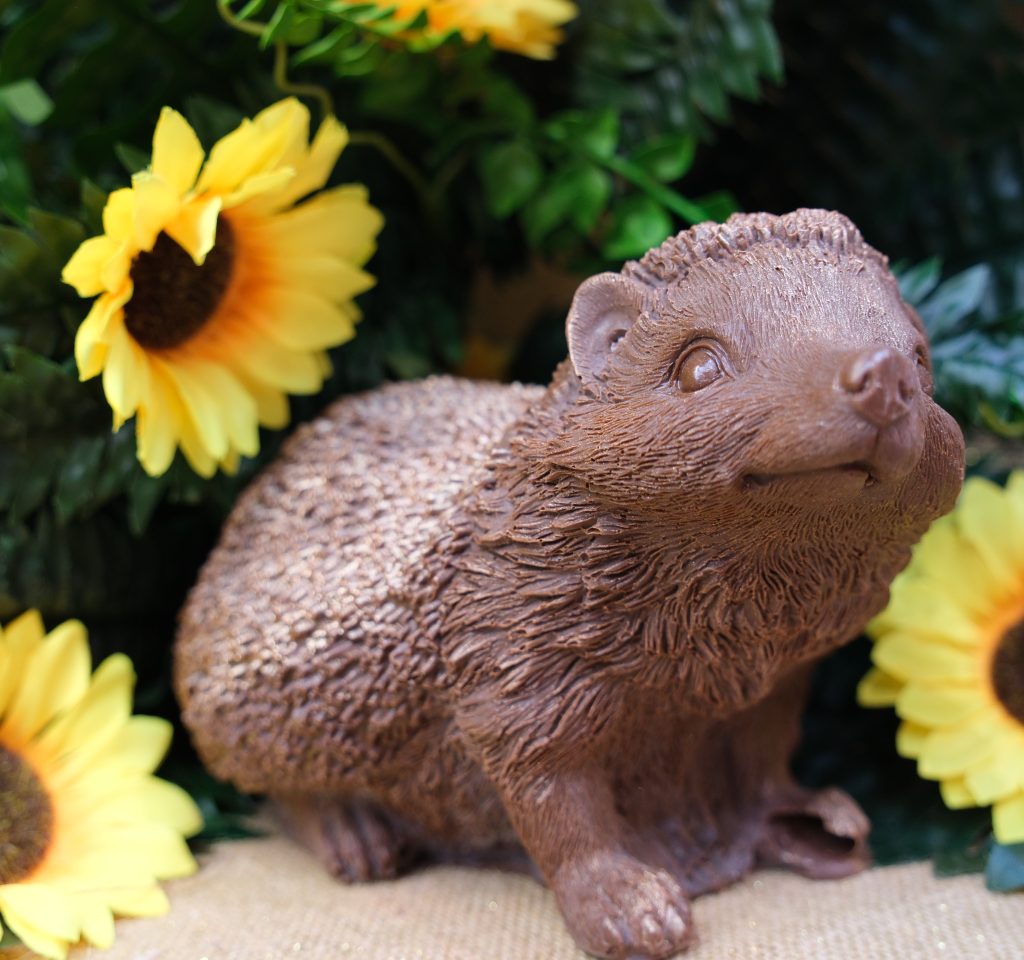 Sujet en chocolat · Cochon d'Inde
