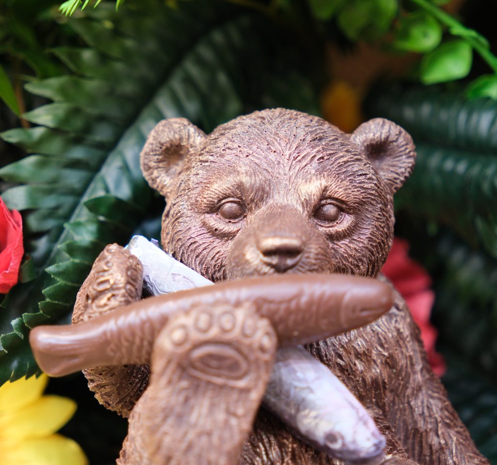 Sujet en chocolat · Ours au poisson