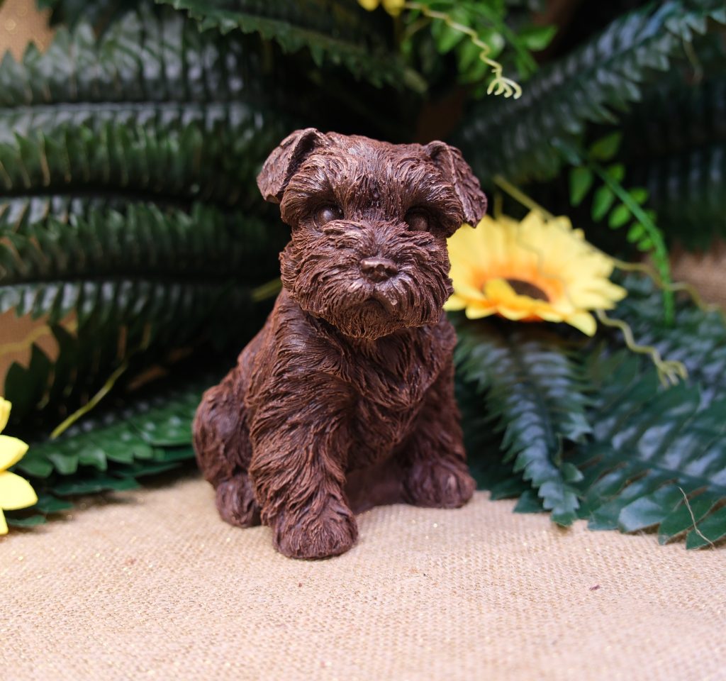 Sujet en chocolat · Schnauzer