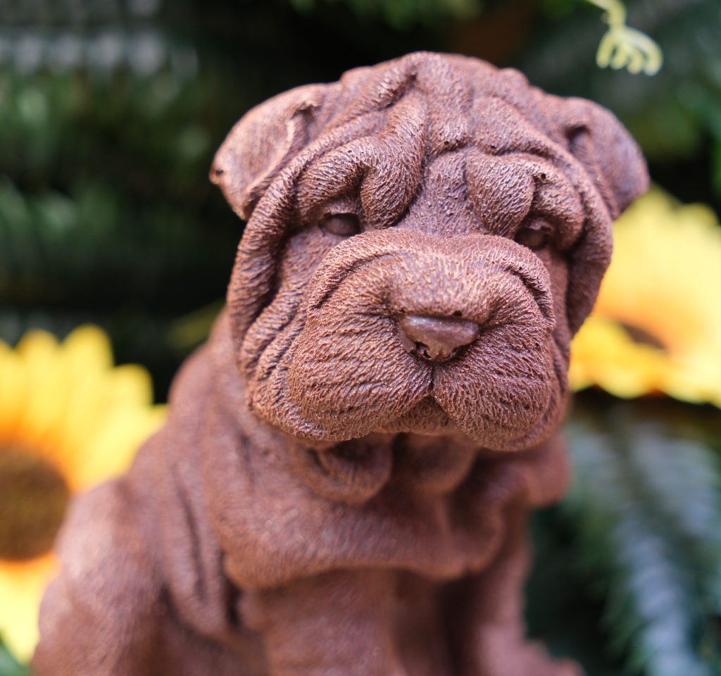 Sujet en chocolat · Shar-peï