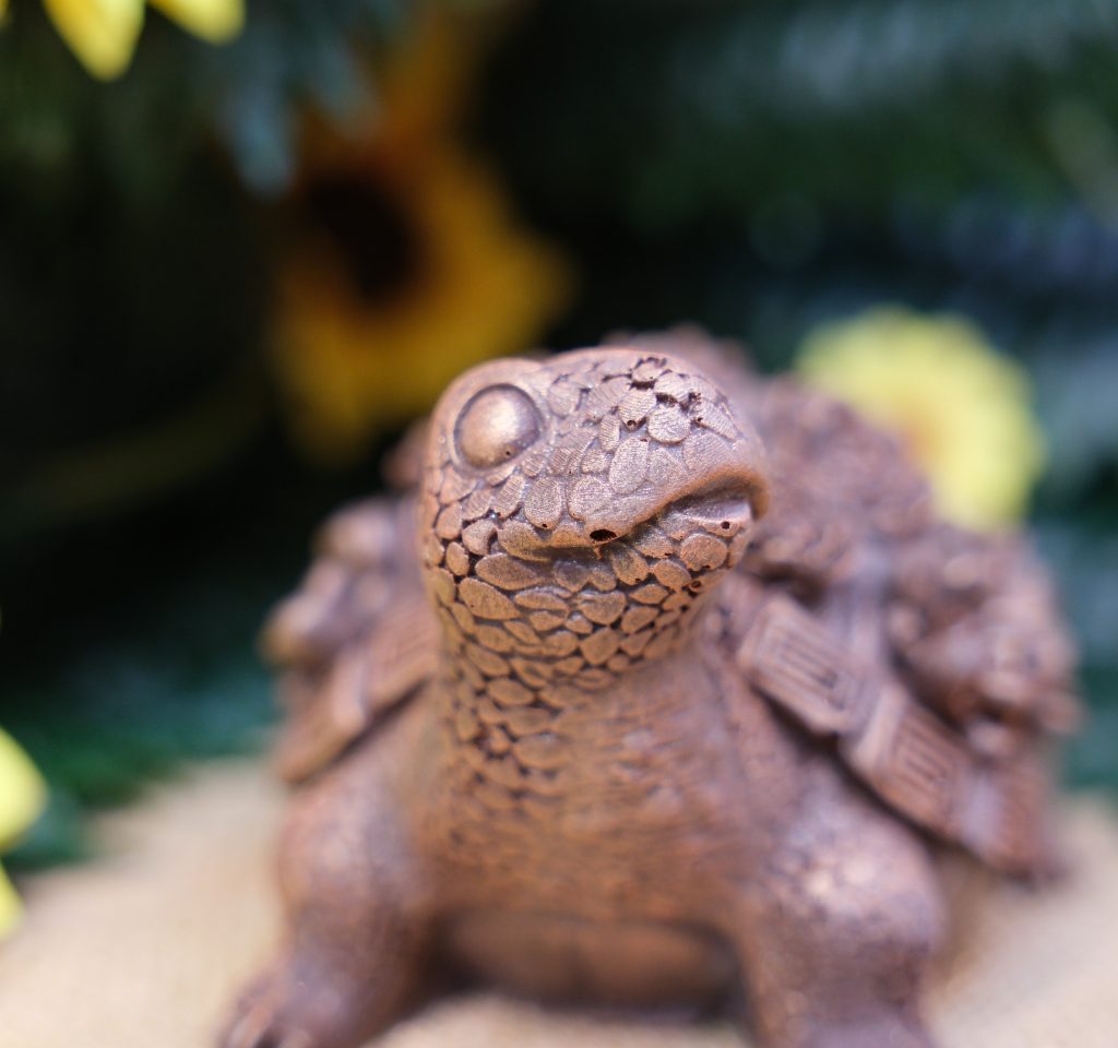 Sujet en chocolat · Tortue